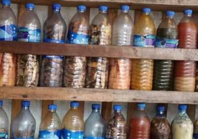 Alagbo12-1200×720-1