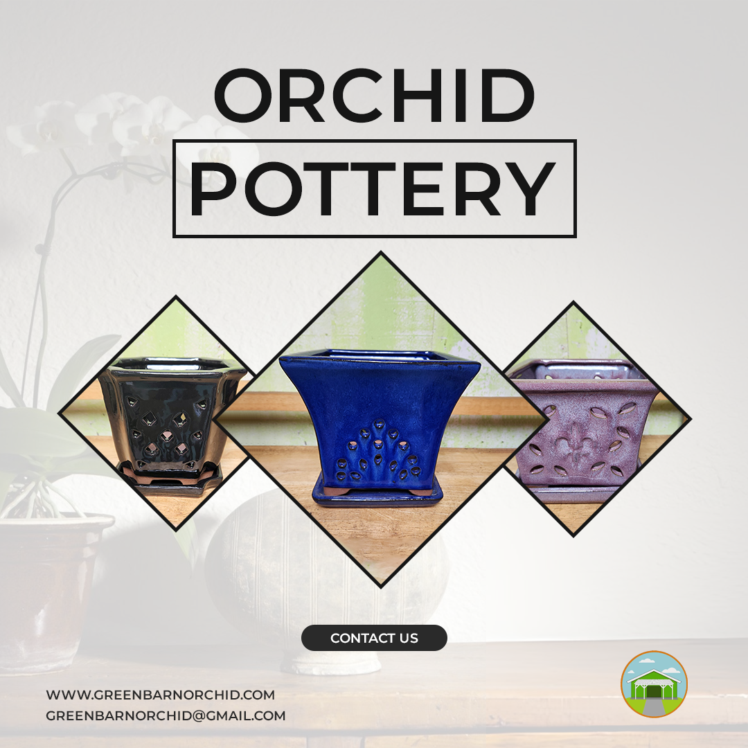 Exploring the Benefits of Online Orchid Supplies for Orchid Lovers