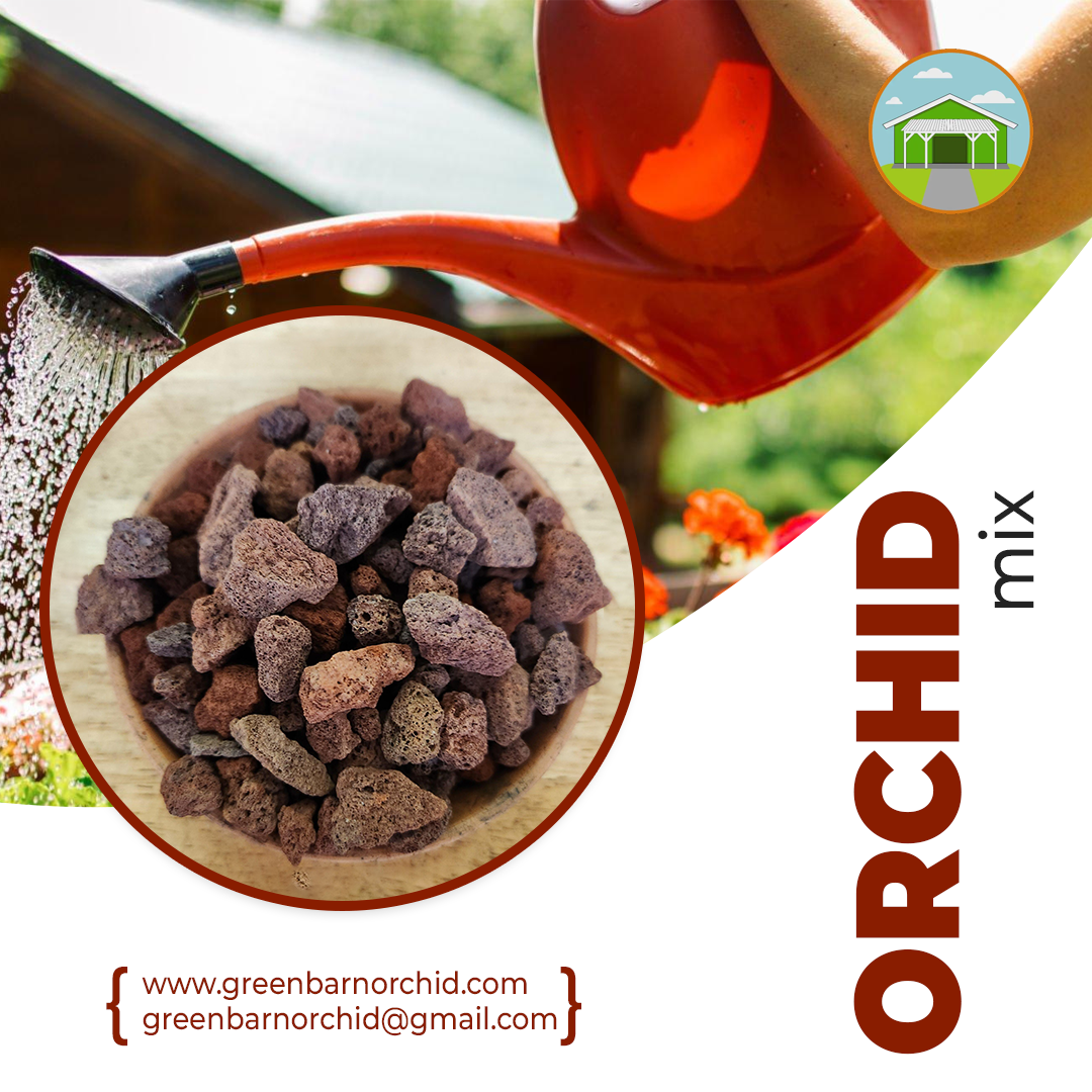 Exploring the Benefits of Online Orchid Supplies for Orchid Lovers